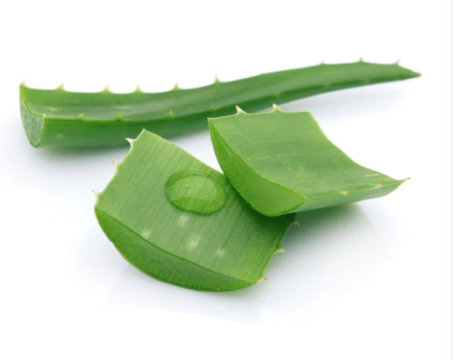 Aloe Barbadensis